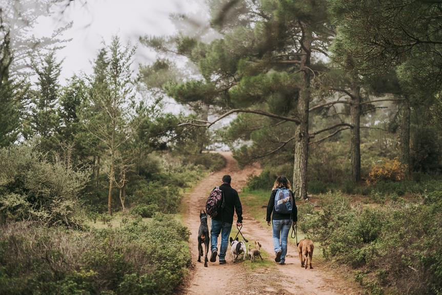 algarve hiking trails dog friendly