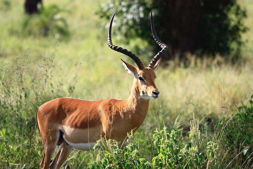 algarve natural parks conservation