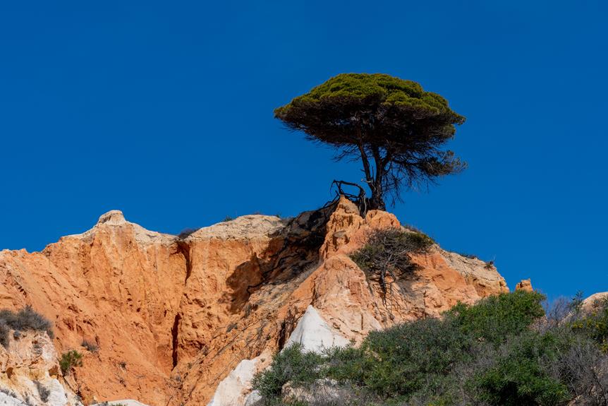 algarve s finest natural parks